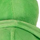 green-turtle