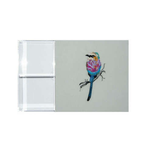 Fluffy Bird Acrylic Box