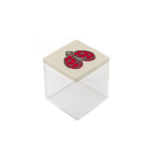 Ruby Red Ladybug Acrylic Box