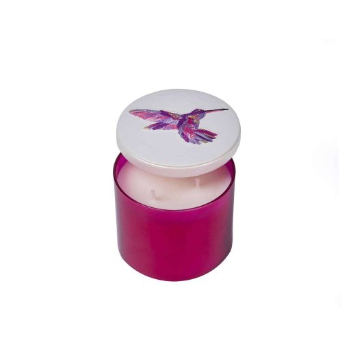 Humming bird