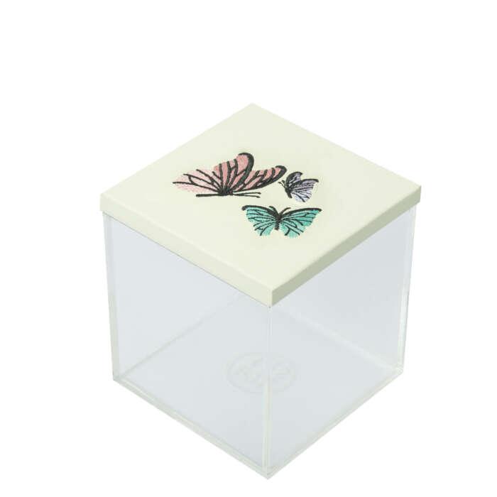 Butterfly Acrylic Mini box