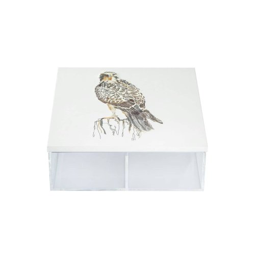 Eagle Box